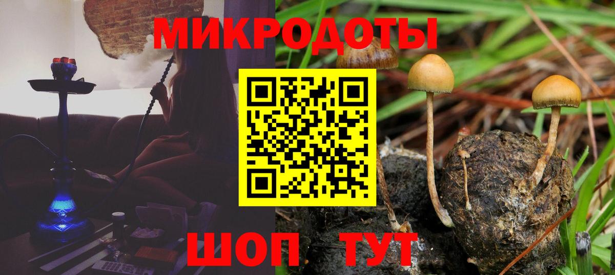 Псилоцибиновые грибы Cubensis  Вход с VPN  Сосновоборск 